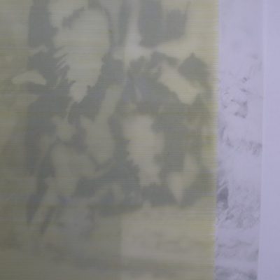 <p><em>Buisson 3</em>, détail</p>

