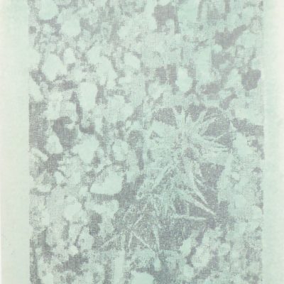 <p>Encre, graphite – 30x40cm</p>
