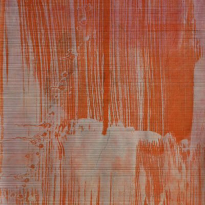 <p><em>Sans titre</em>, graphite, sérigraphie, 42x30cm</p>
