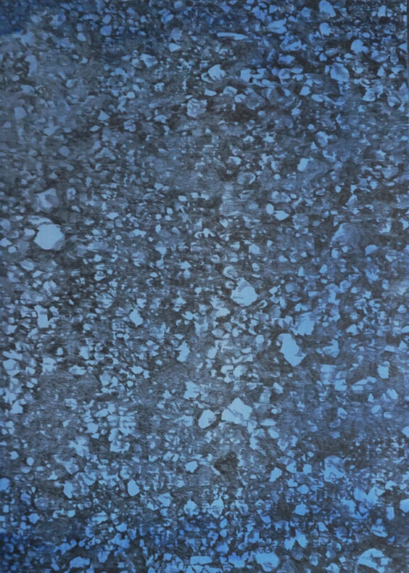 <p><em>Le bruit du chemin</em>, encre, graphite, 50x60cm</p>
