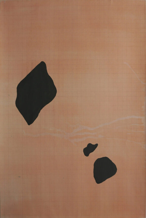 <p><em>Hier la pluie</em>, encre, graphite et sérigraphie, 100x70cm</p>
