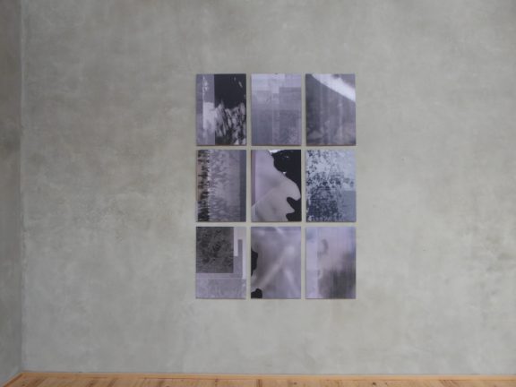 <p><em>Extrait</em>, impression digitale encollées sur dibond, 120x180cm</p>
